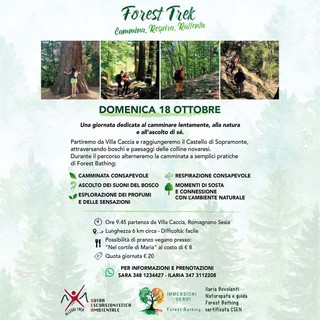 Forest Trek a Romagnano Sesia, domenica una camminata tra natura e Forest Bathing