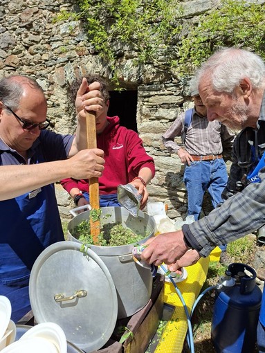 Fobello, domenica tra erbe spontanee, musei e tradizioni valsesiane