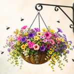 Borgosesia, fiori sospesi in via Duca d’Aosta: bellezza a costo zero e attenzione alle api Borgosesia, fiori sospesi in via Duca d’Aosta: bellezza a costo zero e attenzione alle api