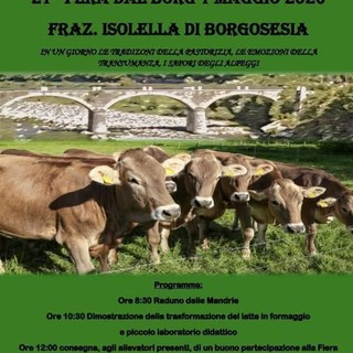 A Isolella torna la “Fera dal Borg”: tradizione, allevatori e sapori degli alpeggi
