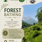 Rassa, il 22 agosto una mattinata di Forest Bathing tra meditazione e botanica