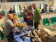 A Scopello il mondo dei funghi diventa occasione di conoscenza, turismo e sicurezza