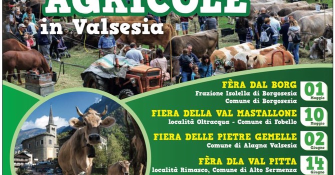 Fiere agricole in Valsesia, il calendario degli appuntamenti 2026
