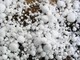 La tregua è finita, torna il maltempo nel Biellese: è allerta gialla con temporali e rischio grandine (foto di repertorio)