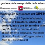 A Carcoforo una giornata dedicata al censimento del gipeto sulle Alpi