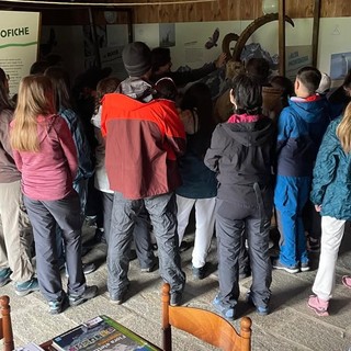 Gli studenti dell’Istituto Achille Boroli alla scoperta delle Aree Protette