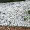 Maltempo, temporali e rischio grandine: è allerta gialla sul Piemonte centro-orientale (foto di repertorio)