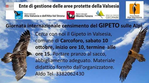 A Carcoforo una giornata dedicata al censimento del gipeto sulle Alpi