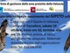 A Carcoforo una giornata dedicata al censimento del gipeto sulle Alpi A Carcoforo una giornata dedicata al censimento del gipeto sulle Alpi