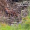 Giornata Mondiale della Fotografia: le buone pratiche per fotografare la natura Giornata Mondiale della Fotografia: le buone pratiche per fotografare la natura