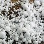 Allerta gialla per temporali, rischio grandine anche a Biella (foto di repertorio)