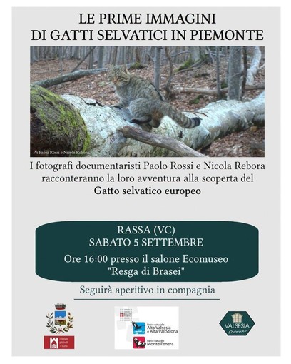A Rassa un incontro dedicato al gatto selvatico e alle prime immagini raccolte in Piemonte A Rassa un incontro dedicato al gatto selvatico e alle prime immagini raccolte in Piemonte