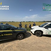 Dalla Lomellina: Frode sul riso biologico, sequestri da 10 milioni di euro in Lomellina, 14 aziende indagate