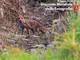 Giornata Mondiale della Fotografia: le buone pratiche per fotografare la natura Giornata Mondiale della Fotografia: le buone pratiche per fotografare la natura