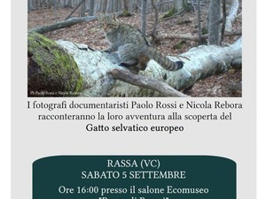 A Rassa un incontro dedicato al gatto selvatico e alle prime immagini raccolte in Piemonte