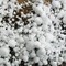 Allerta gialla per temporali, rischio grandine anche a Biella (foto di repertorio)