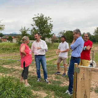 Grandinata nel vicino Vercellese, sopralluoghi di Chiorino e Delmastro: “Impegno per domande risarcimento danni”
