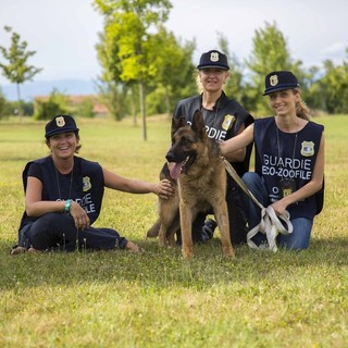 Protezione animali: al via i corsi gratuiti OIPA in Piemonte e Valle d'Aosta