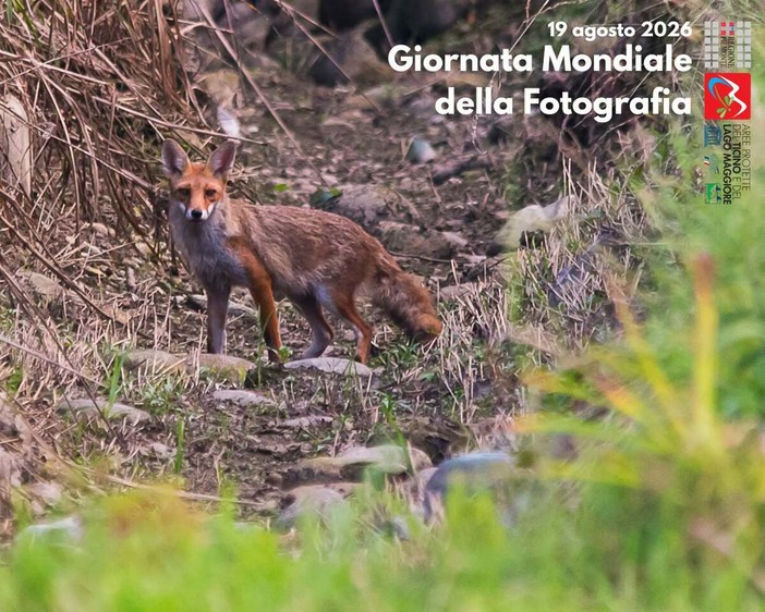Giornata Mondiale della Fotografia: le buone pratiche per fotografare la natura Giornata Mondiale della Fotografia: le buone pratiche per fotografare la natura