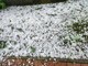 Maltempo, temporali e rischio grandine: è allerta gialla sul Piemonte centro-orientale (foto di repertorio)