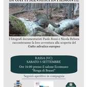 A Rassa un incontro dedicato al gatto selvatico e alle prime immagini raccolte in Piemonte A Rassa un incontro dedicato al gatto selvatico e alle prime immagini raccolte in Piemonte