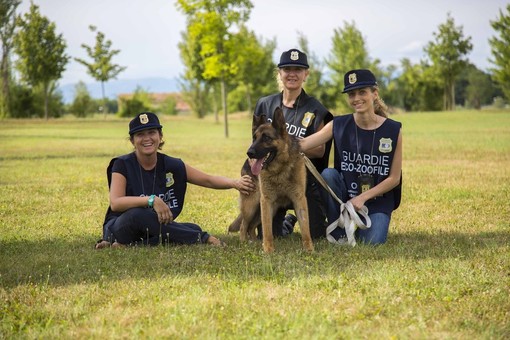 Protezione animali: al via i corsi gratuiti OIPA in Piemonte e Valle d'Aosta