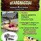 All’Argnaccia una domenica dedicata alla miaccia tra sapori, musica e giochi per bambini All’Argnaccia una domenica dedicata alla miaccia tra sapori, musica e giochi per bambini