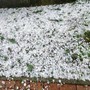 Maltempo, temporali e rischio grandine: è allerta gialla sul Piemonte centro-orientale (foto di repertorio)
