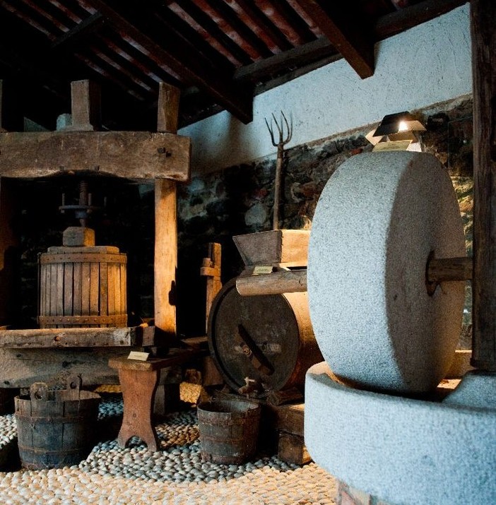 Un museo digitale per raccontare la storia di Guardabosone