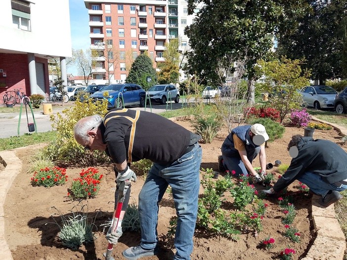 Vercelli, dal progetto “Giardino è vita sociale” nasce una borsa lavoro per un utente del Nucleo autismo Vercelli, dal progetto “Giardino è vita sociale” nasce una borsa lavoro per un utente del Nucleo autismo