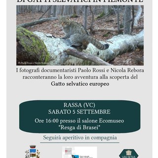 A Rassa un incontro dedicato al gatto selvatico e alle prime immagini raccolte in Piemonte