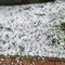 Maltempo nel weekend con forti temporali, rischio grandine e raffiche di vento (foto di repertorio)