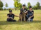 Protezione animali: al via i corsi gratuiti OIPA in Piemonte e Valle d'Aosta
