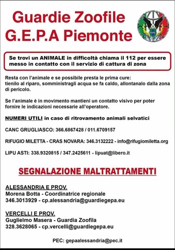 Animali in difficoltà e maltrattamenti: i riferimenti delle Guardie Zoofile GEPA Piemonte Animali in difficoltà e maltrattamenti: i riferimenti delle Guardie Zoofile GEPA Piemonte