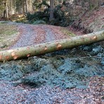 Lavori di messa in sicurezza del territorio a Mollia