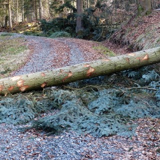 Lavori di messa in sicurezza del territorio a Mollia