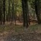 Gattinara, principio d’incendio vicino all’ex Coop: decisiva la chiamata di un volontario Gattinara, principio d’incendio vicino all’ex Coop: decisiva la chiamata di un volontario
