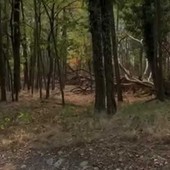 Gattinara, principio d’incendio vicino all’ex Coop: decisiva la chiamata di un volontario Gattinara, principio d’incendio vicino all’ex Coop: decisiva la chiamata di un volontario