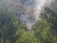 Incendi in Valsesia, nuovo focolaio a Mollia dopo un fulmine Incendi in Valsesia, nuovo focolaio a Mollia dopo un fulmine