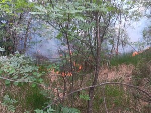 Spento in serata l’incendio boschivo tra i comuni di Curino e Sostegno Spento in serata l’incendio boschivo tra i comuni di Curino e Sostegno