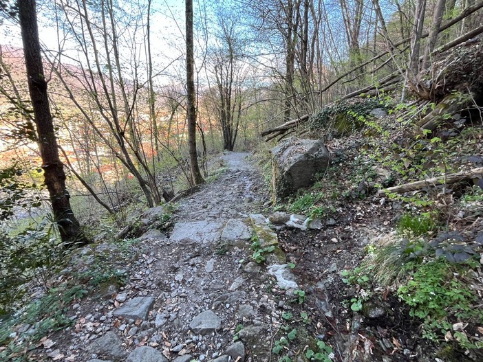 A Quarona interventi di sistemazione ambientale dell’Aib: rimossi alberi in più punti del territorio