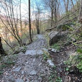 A Quarona interventi di sistemazione ambientale dell’Aib: rimossi alberi in più punti del territorio