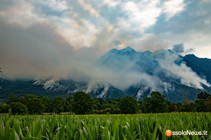 Incendi, l'appello dei forestali: "Serve una gestione attiva dei boschi"
