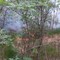 Spento in serata l’incendio boschivo tra i comuni di Curino e Sostegno Spento in serata l’incendio boschivo tra i comuni di Curino e Sostegno