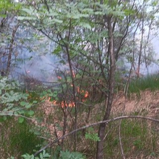 Spento in serata l’incendio boschivo tra i comuni di Curino e Sostegno