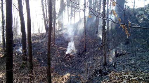 Piemonte: è ancora stato di emergenza per gli incendi boschivi Piemonte: è ancora stato di emergenza per gli incendi boschivi