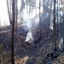 Piemonte: è ancora stato di emergenza per gli incendi boschivi