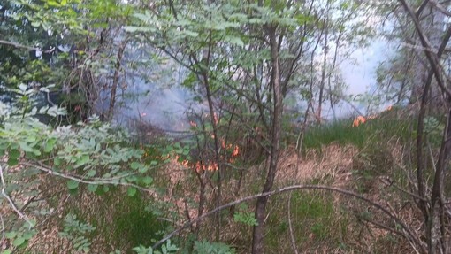 Spento in serata l’incendio boschivo tra i comuni di Curino e Sostegno