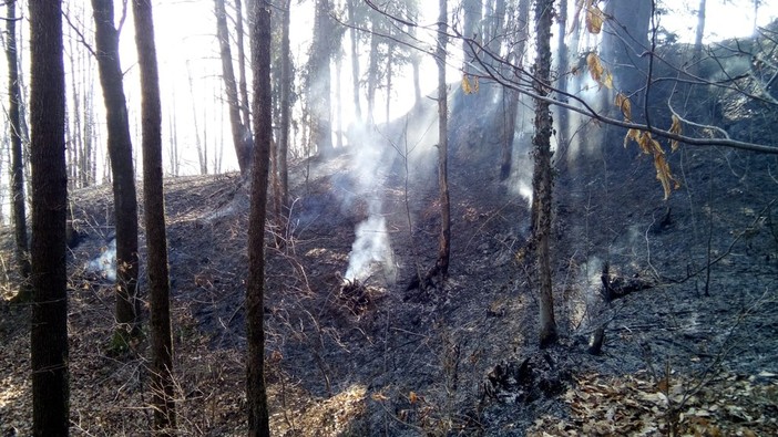 Piemonte: è ancora stato di emergenza per gli incendi boschivi Piemonte: è ancora stato di emergenza per gli incendi boschivi