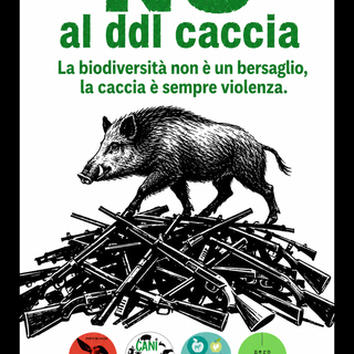 c.s. Silvia Molè - progetto  Parte in Causa